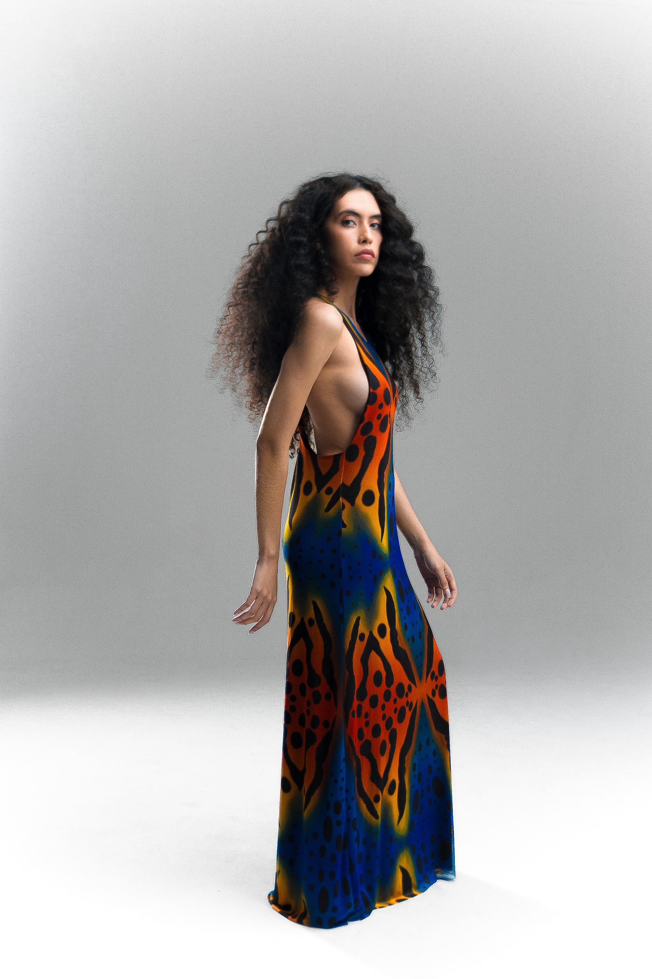 Vestido Longo Veneno